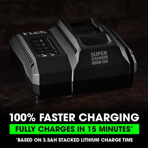 FLEX 24V 550W Lithium-Ion Battery Super Charger product photo