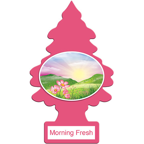 Little Tree - Morning Fresh product photo